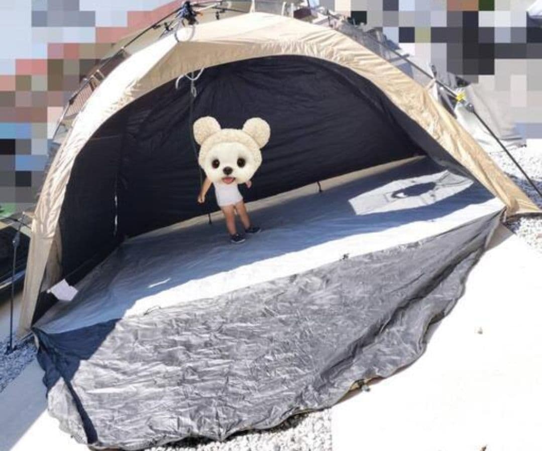 DOD わがやのシェード T5-721-TN