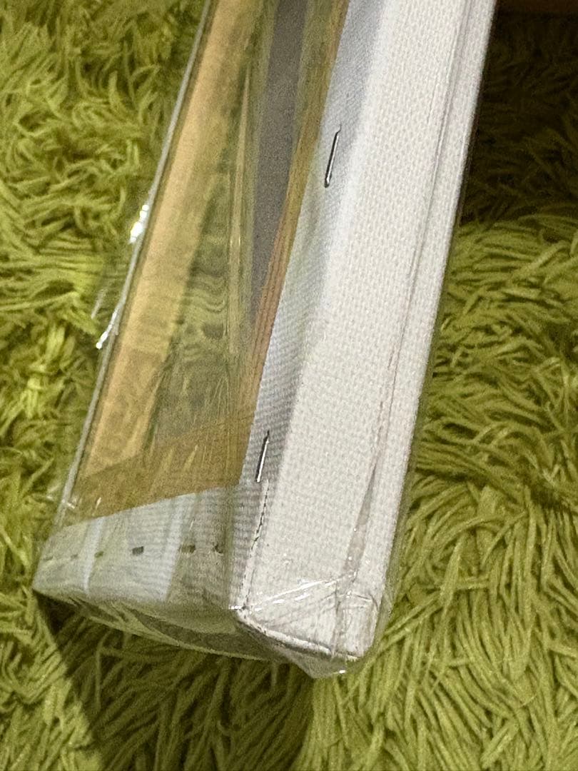 緊縛画　タイトル【鎮座まします】