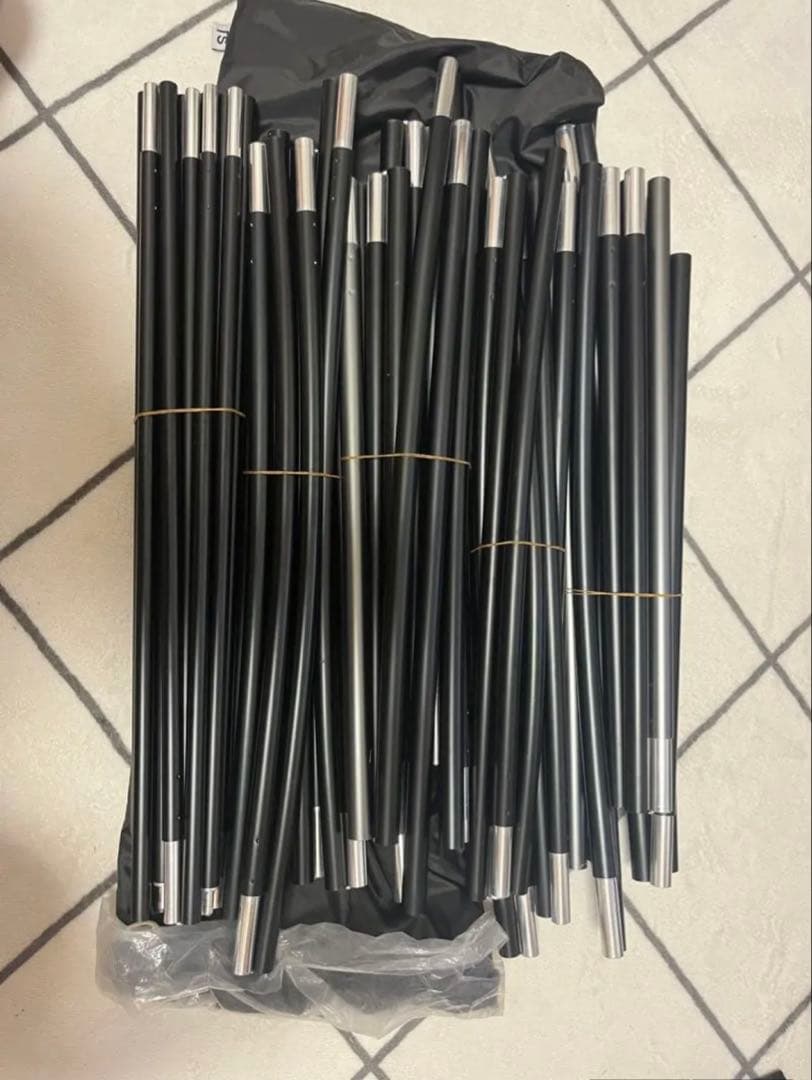 サバティカル　アルニカ