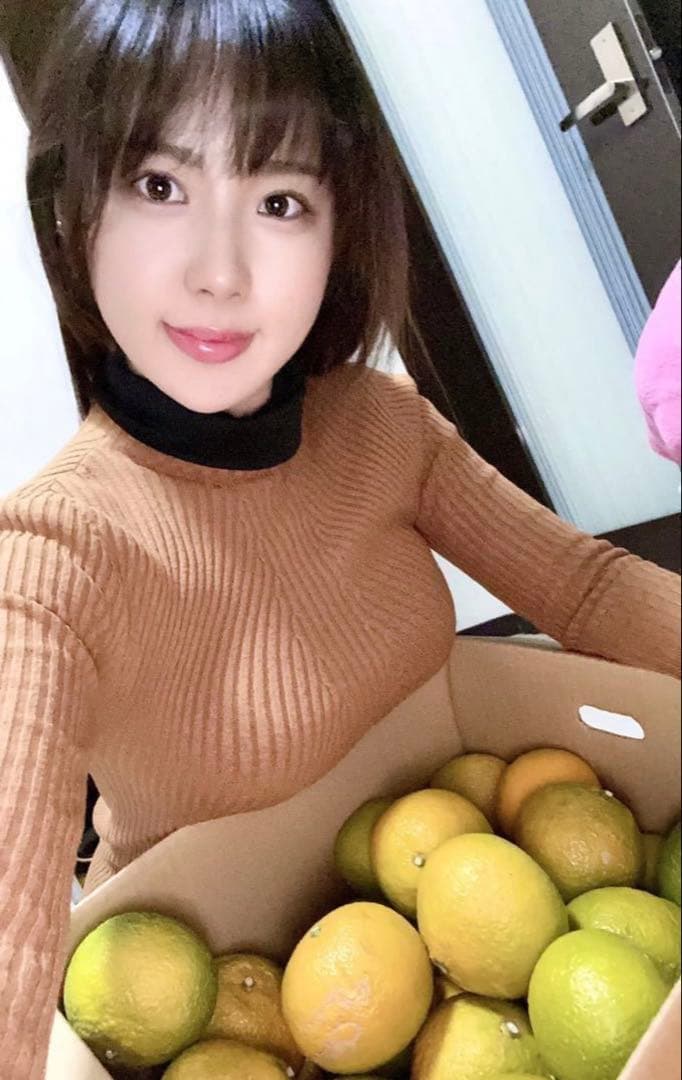 味にハズレなし！見た目を裏切る美味しさ【熊本産スイートスプリングLサイズ約20k