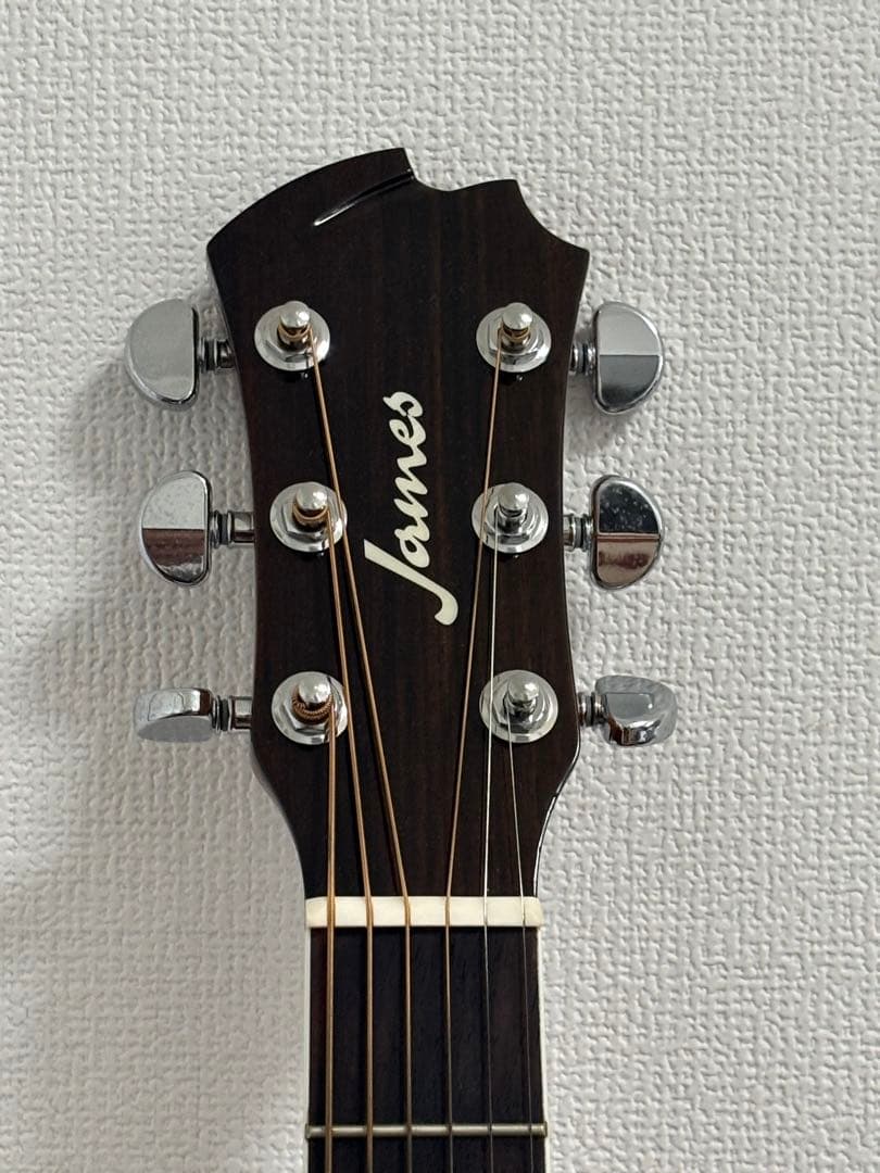 JAMES アコースティックギター JM750NAT