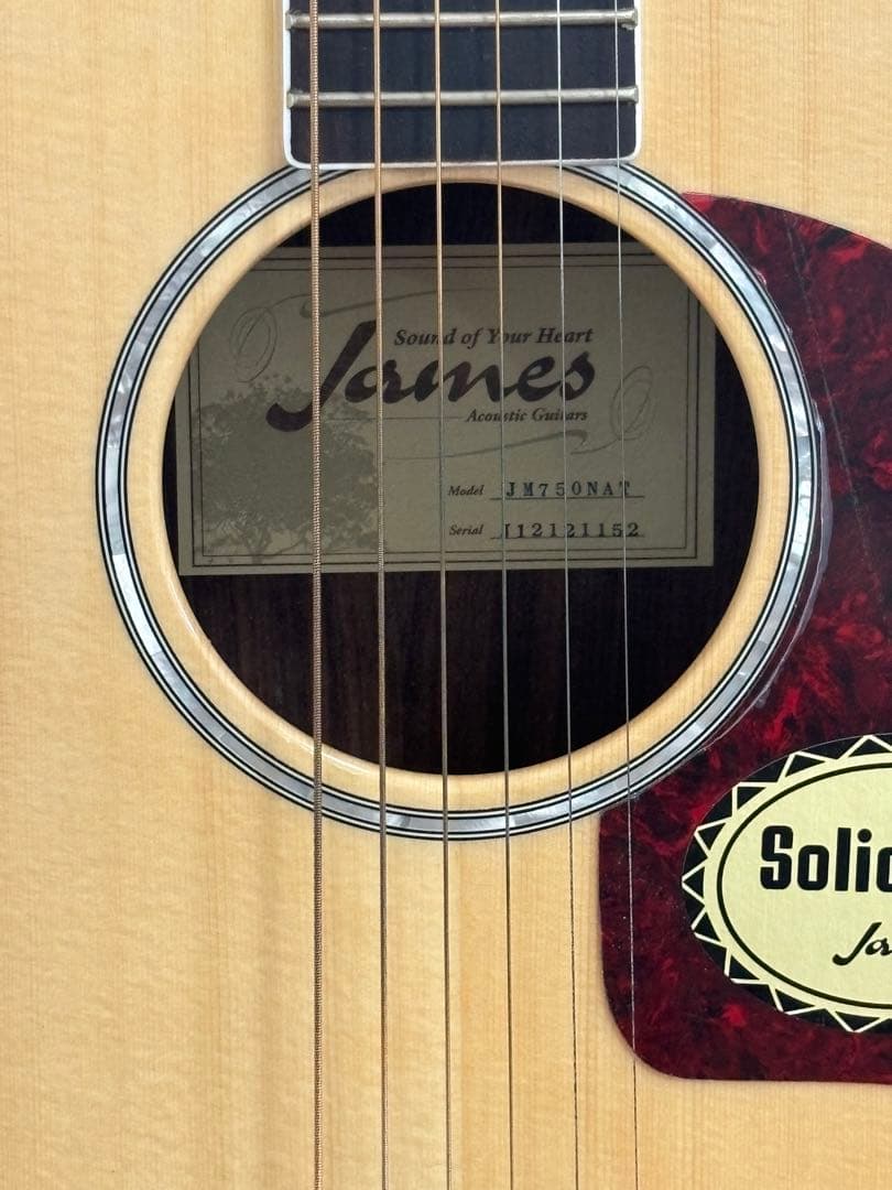 JAMES アコースティックギター JM750NAT