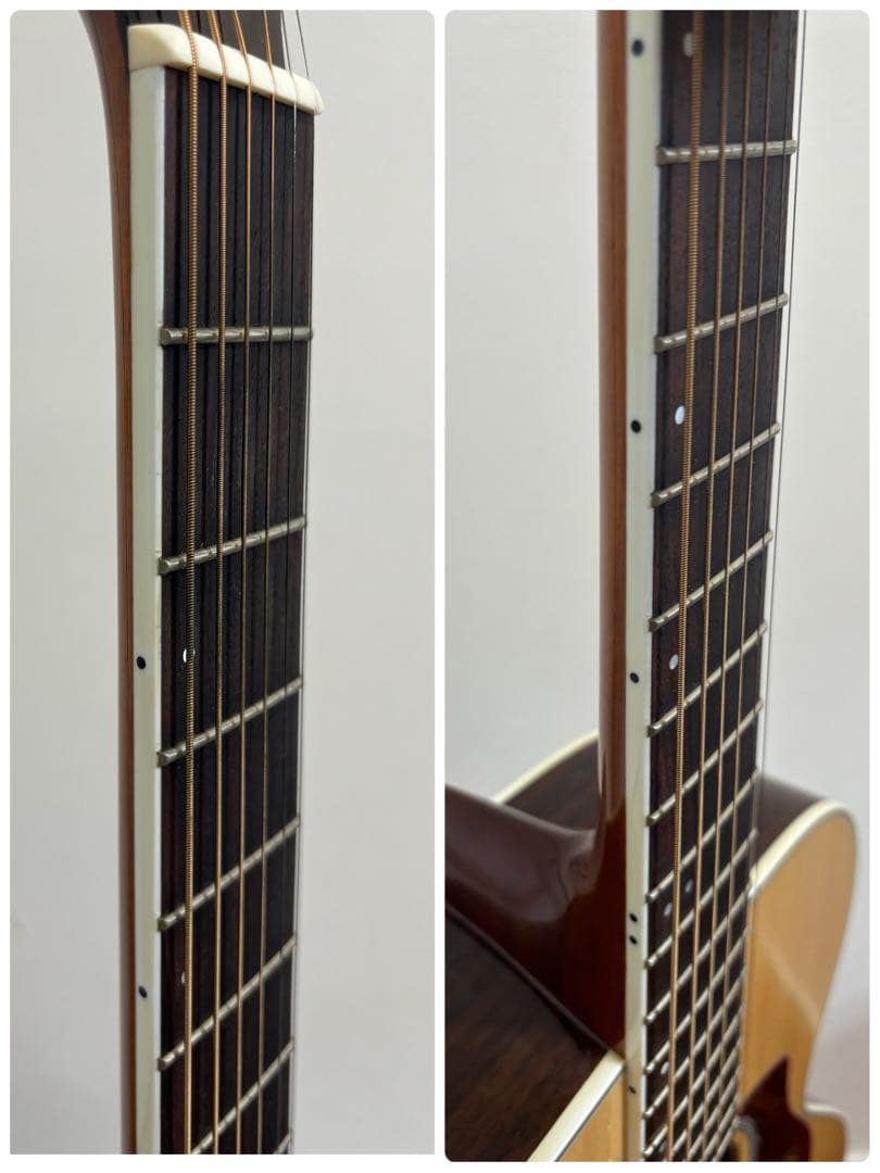 JAMES アコースティックギター JM750NAT