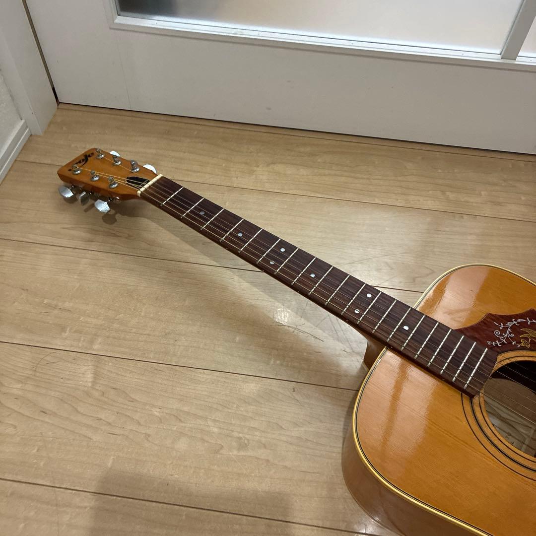 激レア　ZENON roje 全音　アコースティックギター　ハミングバードタイプ