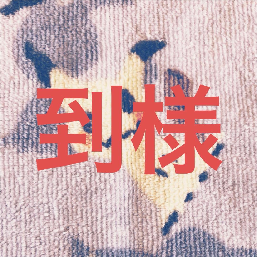 魔光神官ルドルフアルカディア 金 2枚