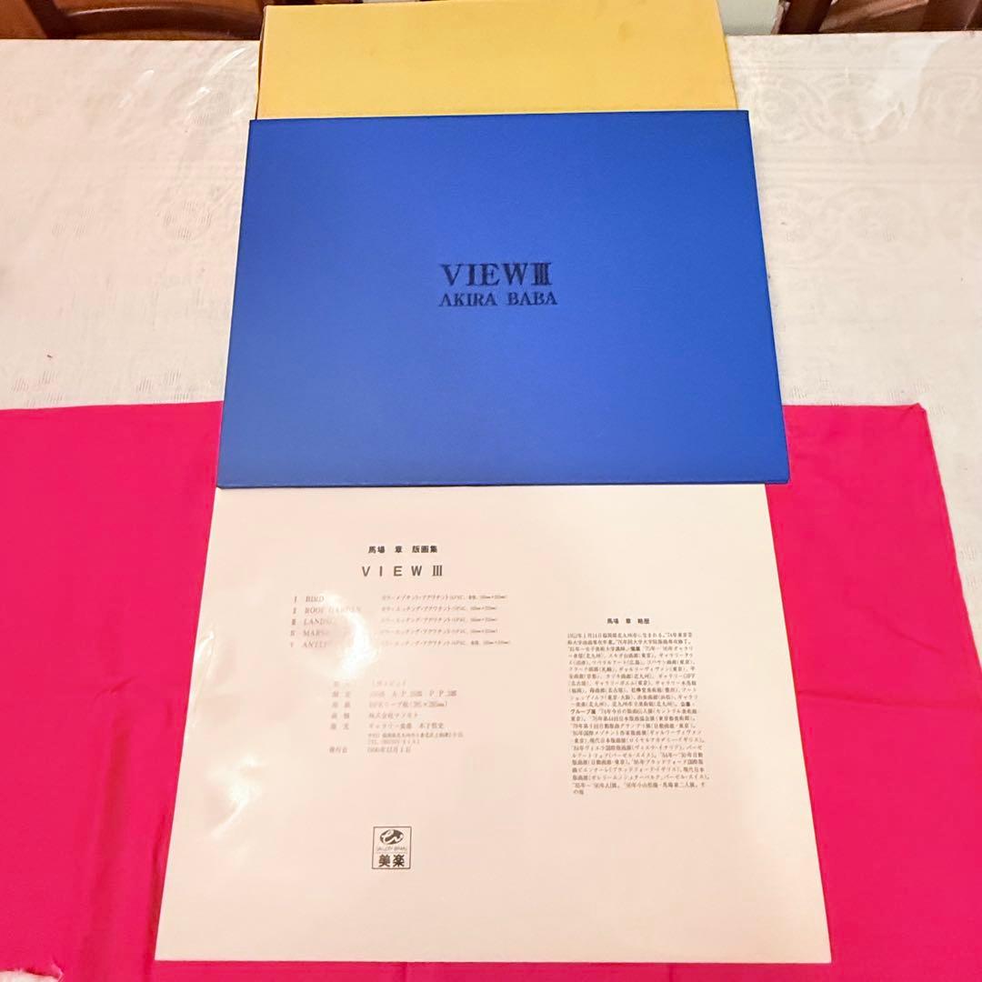 2215様感謝‼️世界観かわる‼️真作馬場章　銅版画\"VIEW 5部作額一点付