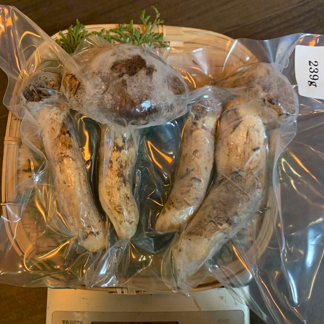 ②【岩手県産天然松茸】冷凍松茸　国産本場　つぼみ開き　239g