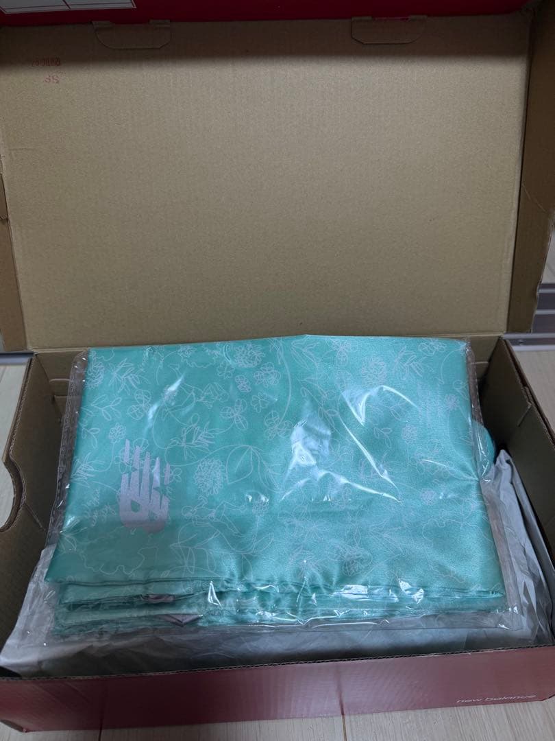 FuelCell Rebel v4 26.0cm レア　名古屋ウィメンズ限定