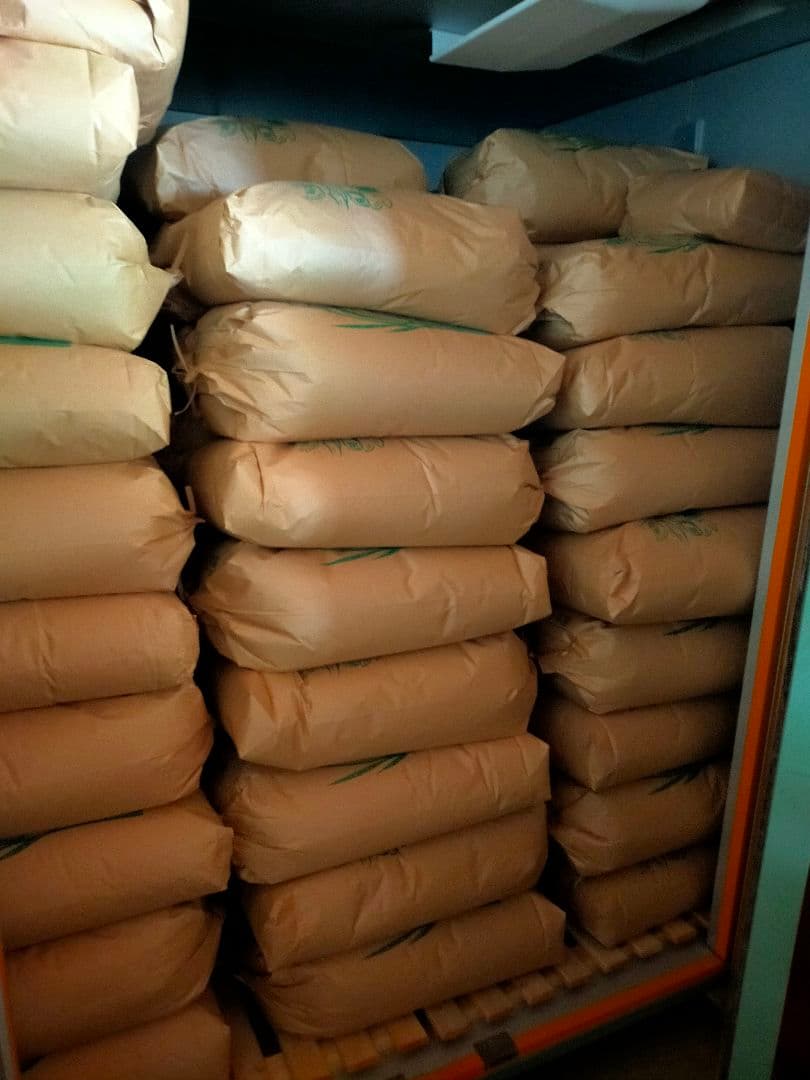 農家直送　20キロ　玄米　令和7年産コシヒカリ