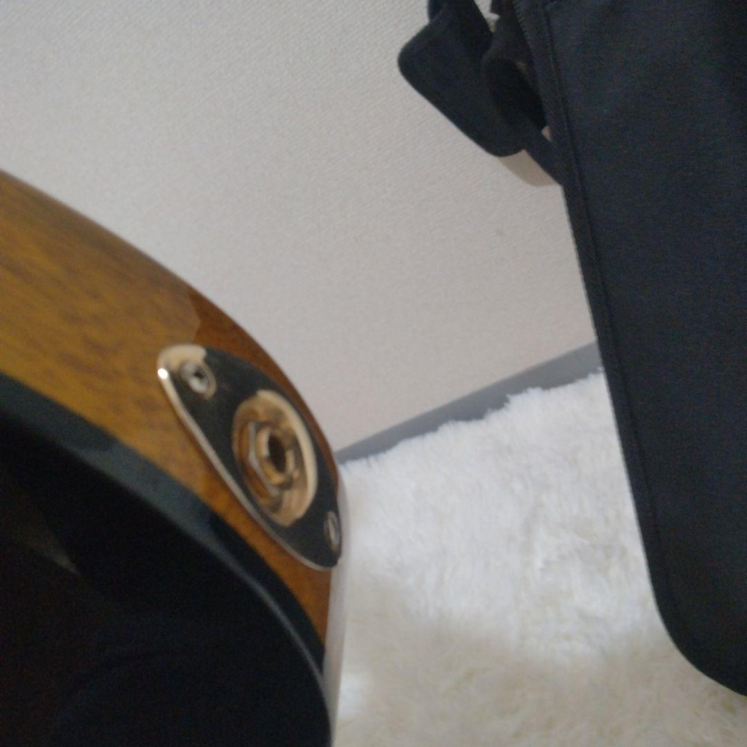 美品 ✨ Bacchus Genuine Quality 純正ソフトケース付き