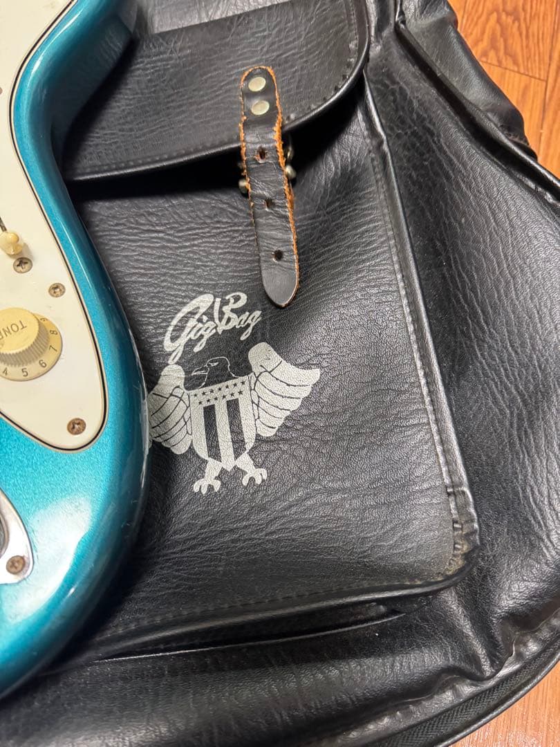 日本製 富士弦 Anboy ODYSSEY series 希少カラー