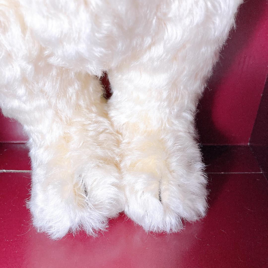 シュタイフ ハムレイズ テディベア シャーロット 証明書付き　|1860|☆