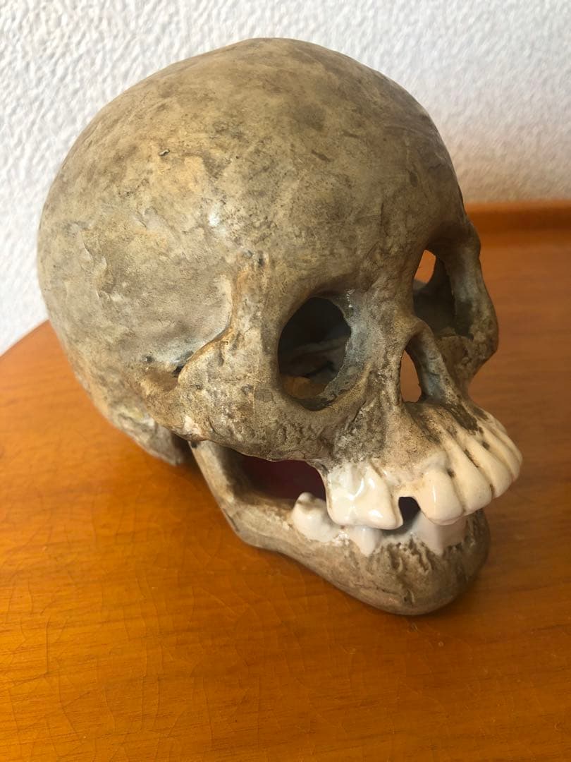 ビンテージ　スカル　髑髏　骸骨　骨董　ミッドセンチュリー　灰皿　アンティーク