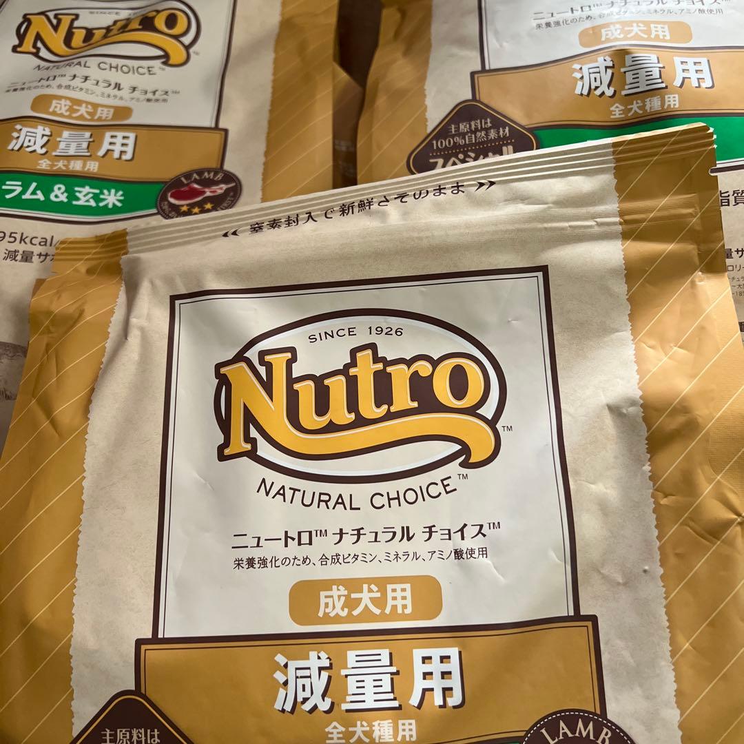 16日まで！Nutro ナチュラルチョイス 減量用 成犬用 ラム&玄米×4