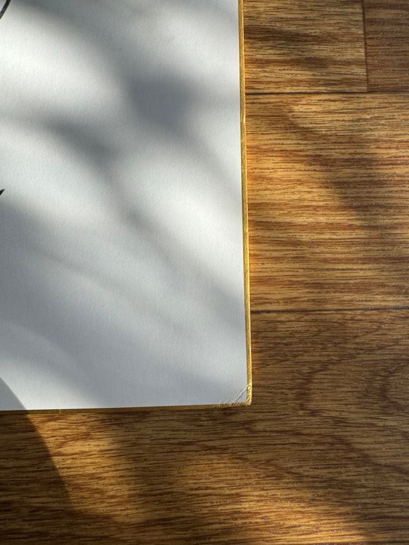 西武ライオンズ　赤田将吾選手　直筆サイン色紙