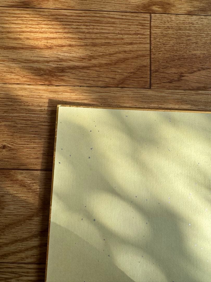 西武ライオンズ　赤田将吾選手　直筆サイン色紙