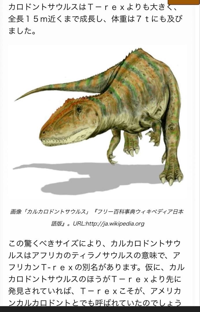 カルカロドントサウルスの歯 化石 約4センチ