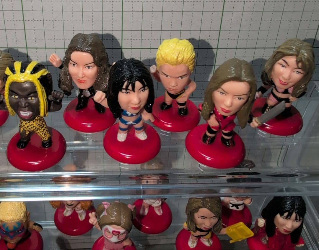 プロ格ヒーローズ　女子プロレスラーオールスターズ３０個セット