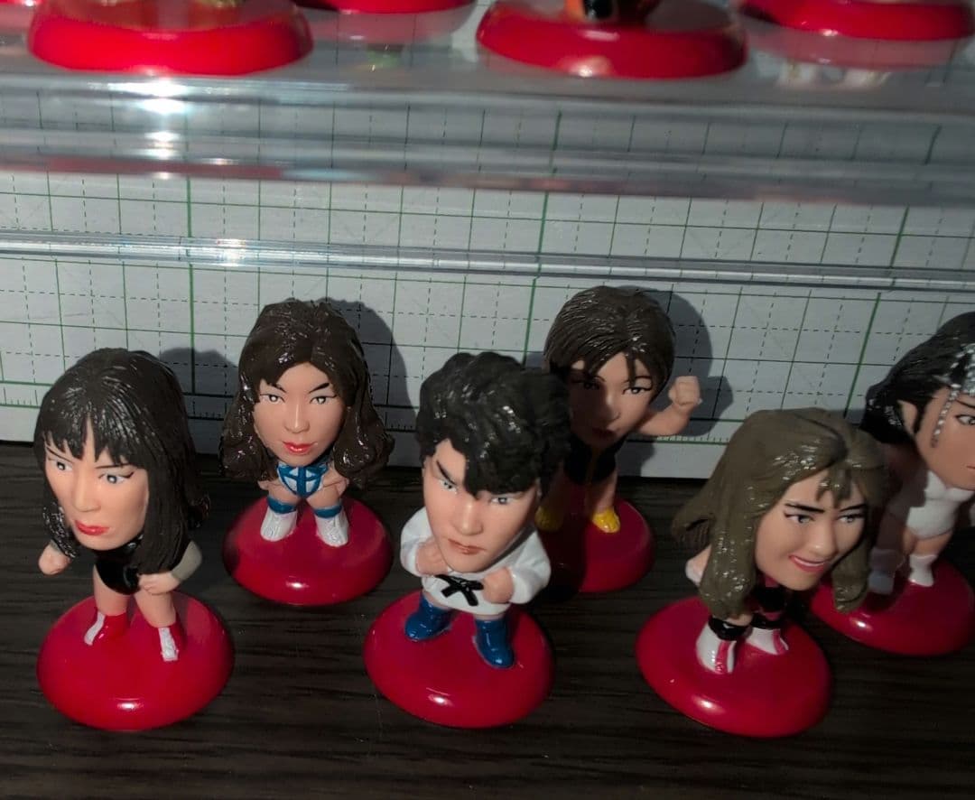 プロ格ヒーローズ　女子プロレスラーオールスターズ３０個セット