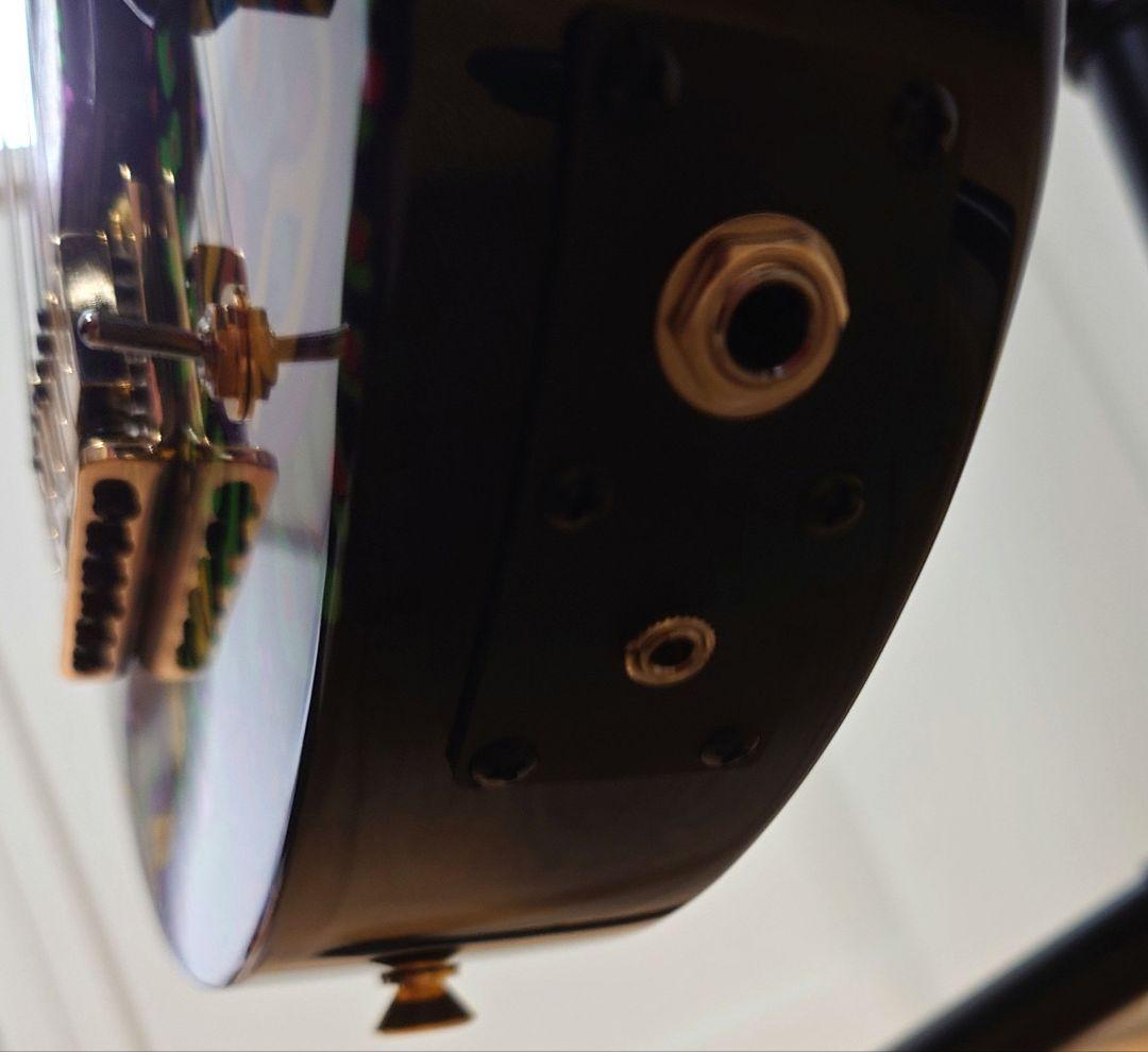 FERNANDES ZO-3 hide サイケ ハードケース付き