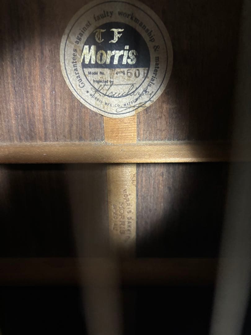 Morris & Co. アコースティックギター W 50 H