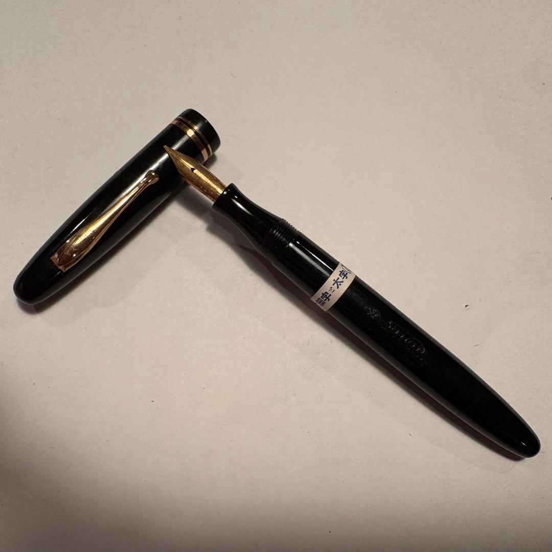 【パンダ】sailor セーラー 万年筆 大正　KG8 箱あり