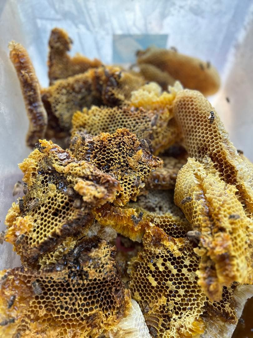 蜜蝋 ニホンミツバチ　巣クズ　4930g