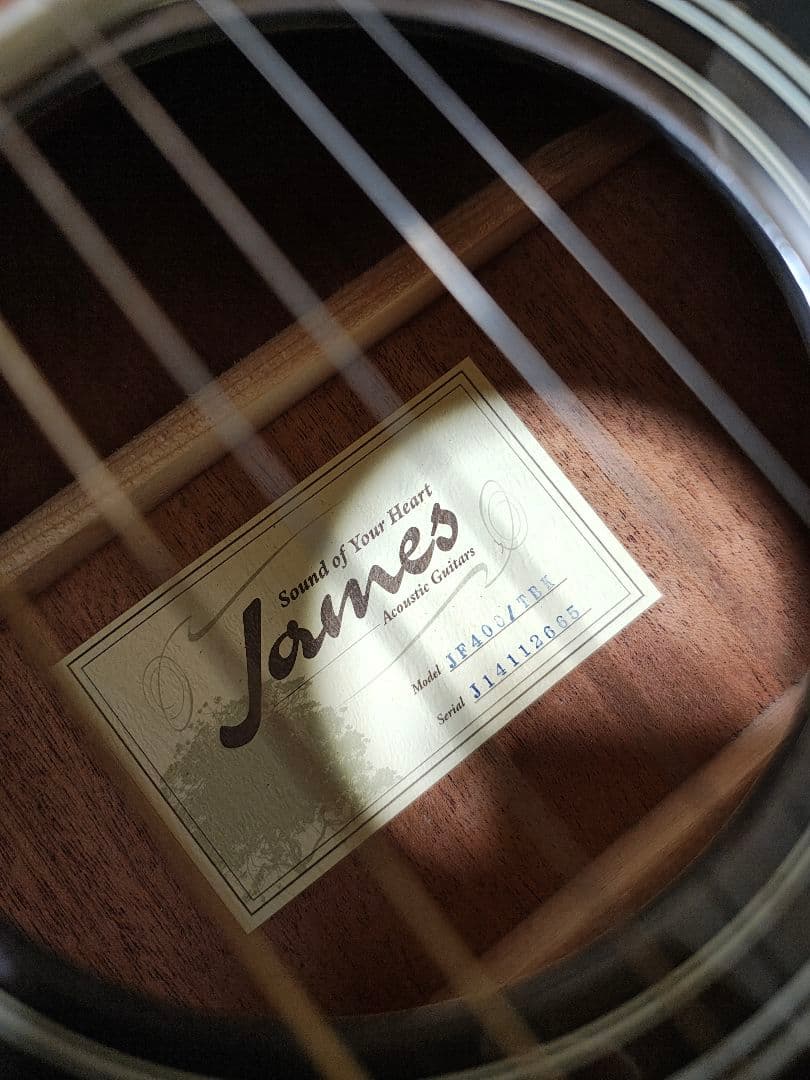 単板トップJames JF-400TBK/美品ソフトケース付