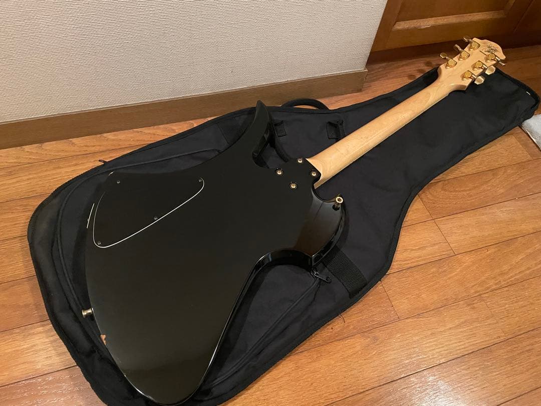 ギター Fernandes MG-120X (MG-145X MG-165X)hide