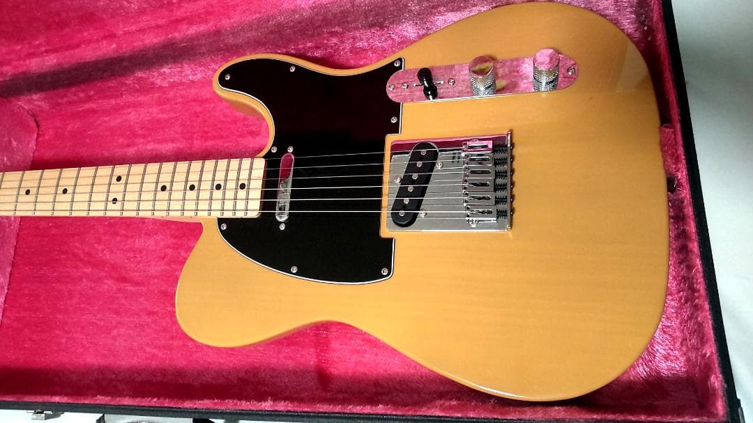 Fender Squier テレキャスター（ハードケース＆ソフトケース付）