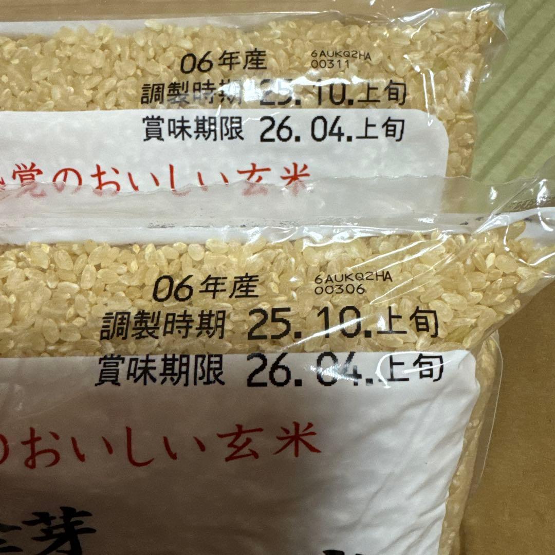 たま　金芽 ロウカット玄米 2キロ×4袋