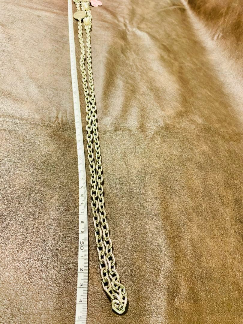 タリナタランティーノTarinaTarantinoリード犬ドクロ スカル ペット