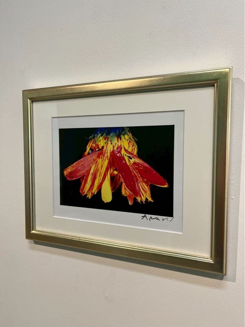 荒木経惟 写真作品 花 サイン入 額装