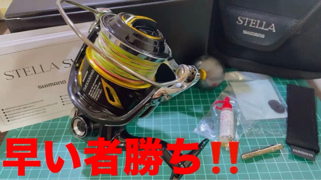 19ステラ10000PG☆美品☆早い者勝ち☆釣り引退☆オフショア☆ジギング☆平政