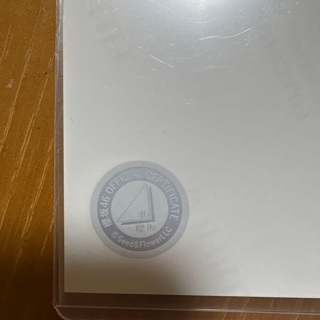 櫻坂46 直筆サイン サンタ帽 写真