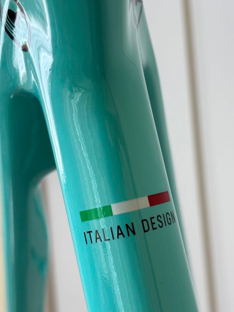 ゆうき0811さん専用　ビアンキ Infinito CV disc フレーム