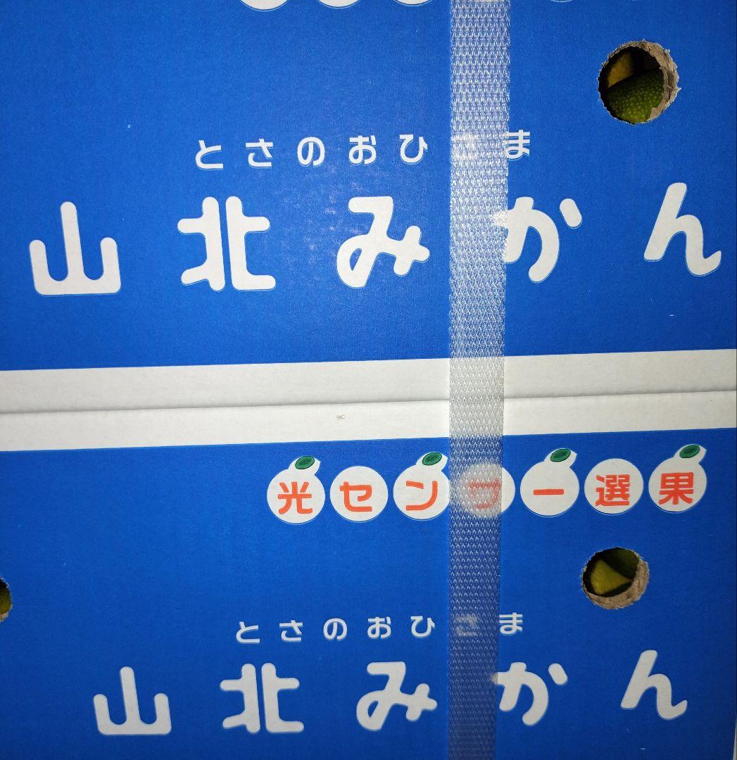 高知産　約１０ｋｇ　甘い露地山北みかん　２Ｓ３Ｓ　秀品　北海道沖縄発送不可