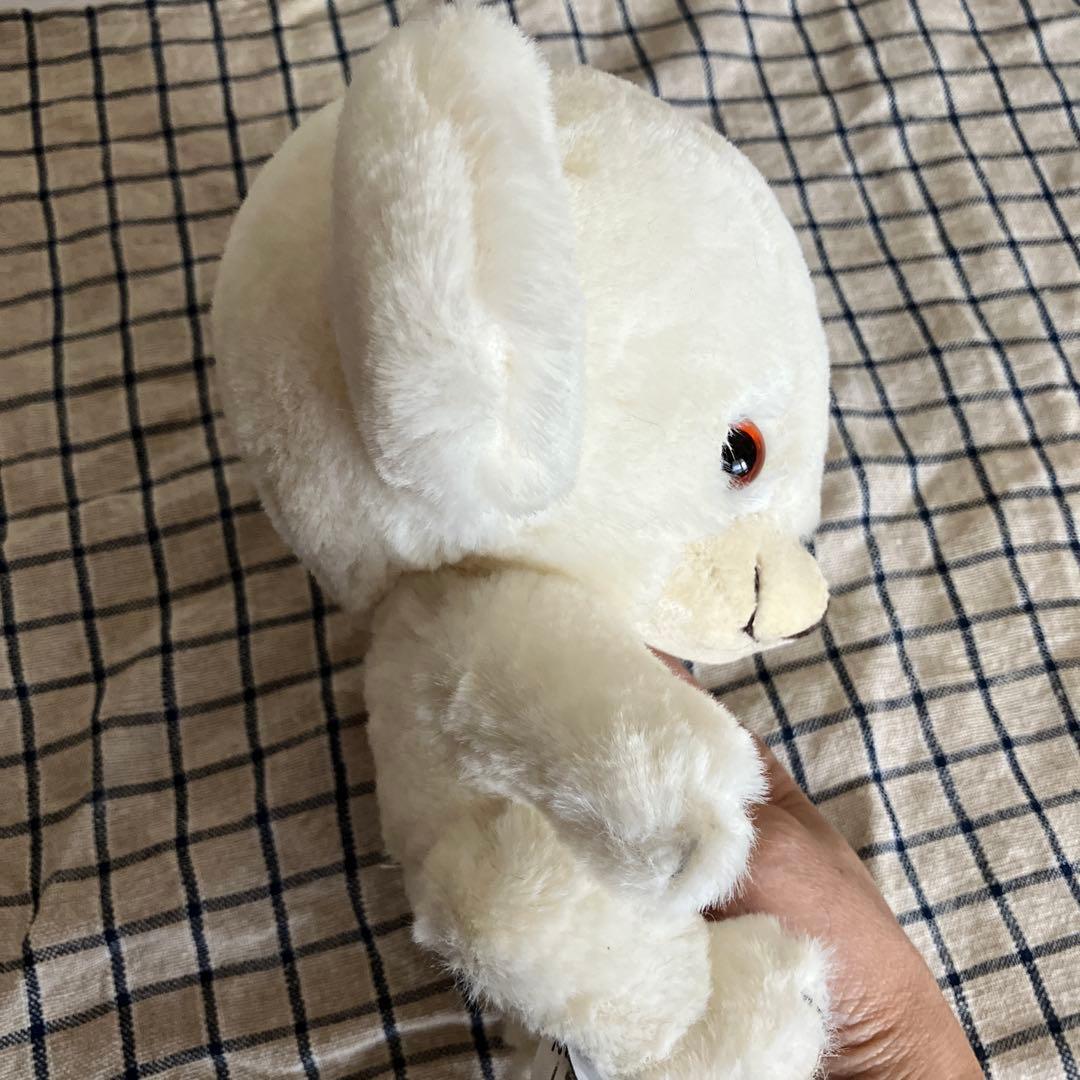 メリーソート　テディベア　チーキー