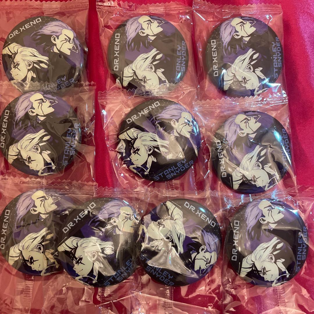 スタンリー　ゼノ　缶バッジ　場面写　Dr.stone 10個