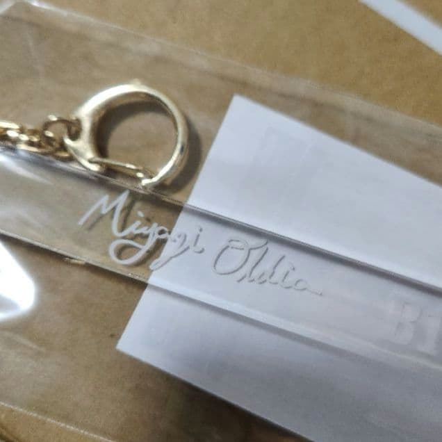 ミヤジ　ルームキー風キーホルダー　ナンジャタウン　あくねこ展　ぬいぐるみ　アクコ