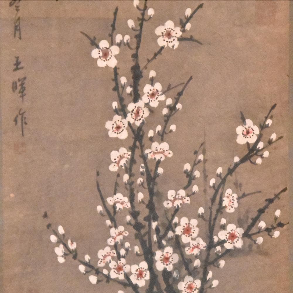 中国美術 王暉作 掛け軸 玉樹清暉 丙寅冬月 梅の図 唐物唐本 中国近代画家