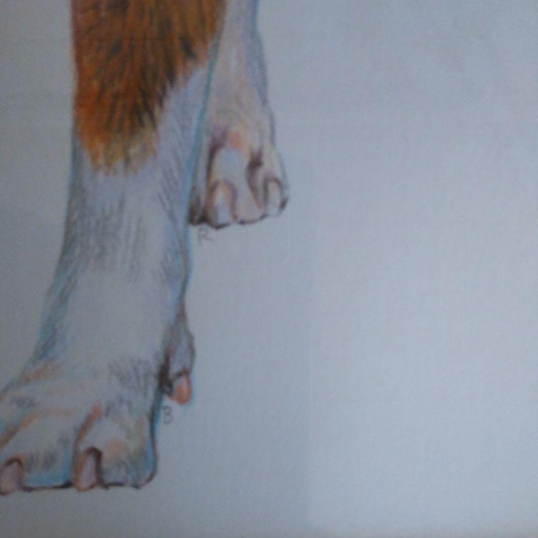 チャールズ・リン・ブラッグ　犬　色鉛筆画　5号