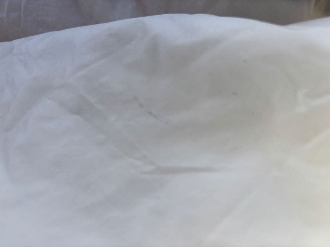 WINDY AND RAINY スターライトタープ