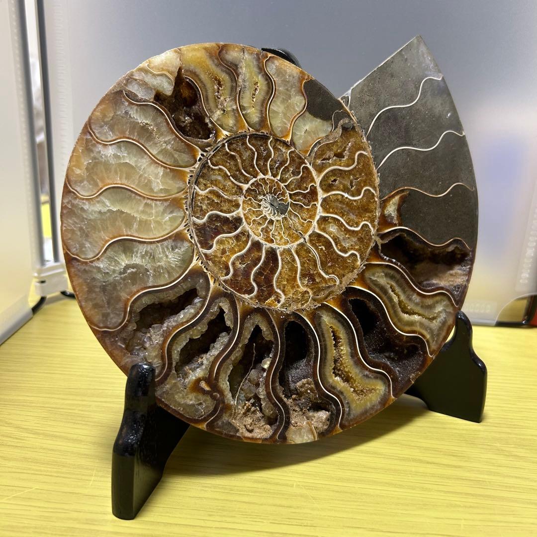 EXPO2025 タジキスタン パビリオン アンモナイト　大阪万博 万博