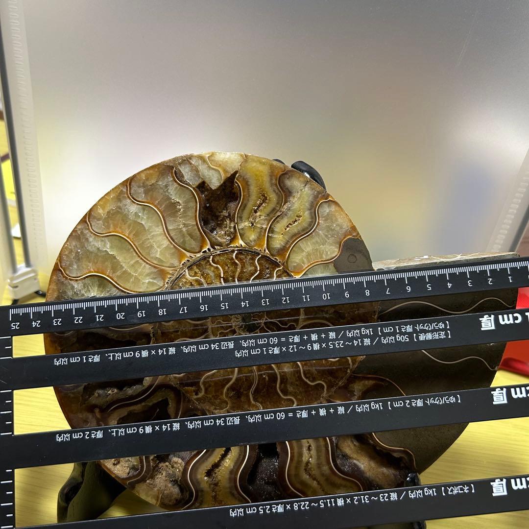 EXPO2025 タジキスタン パビリオン アンモナイト　大阪万博 万博