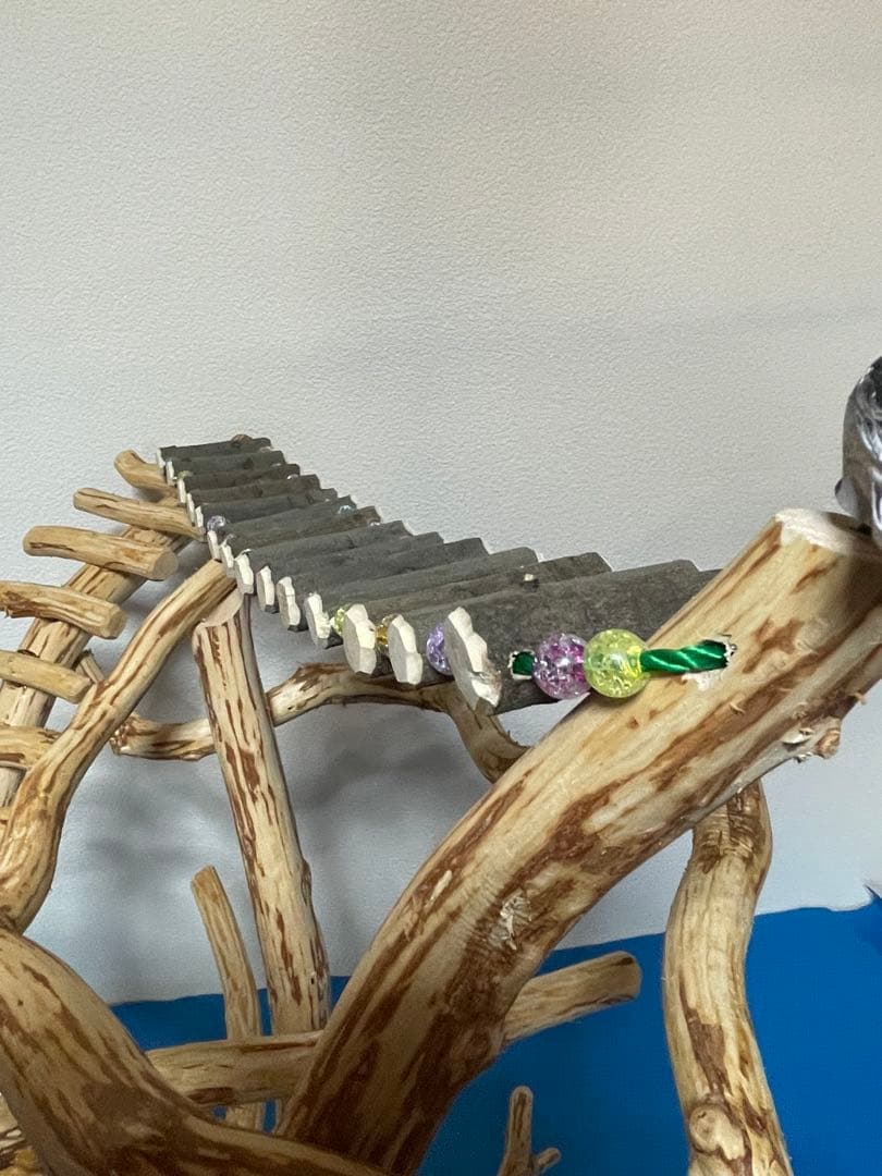 天然木製 鳥用止まり木 中型用 食器付き