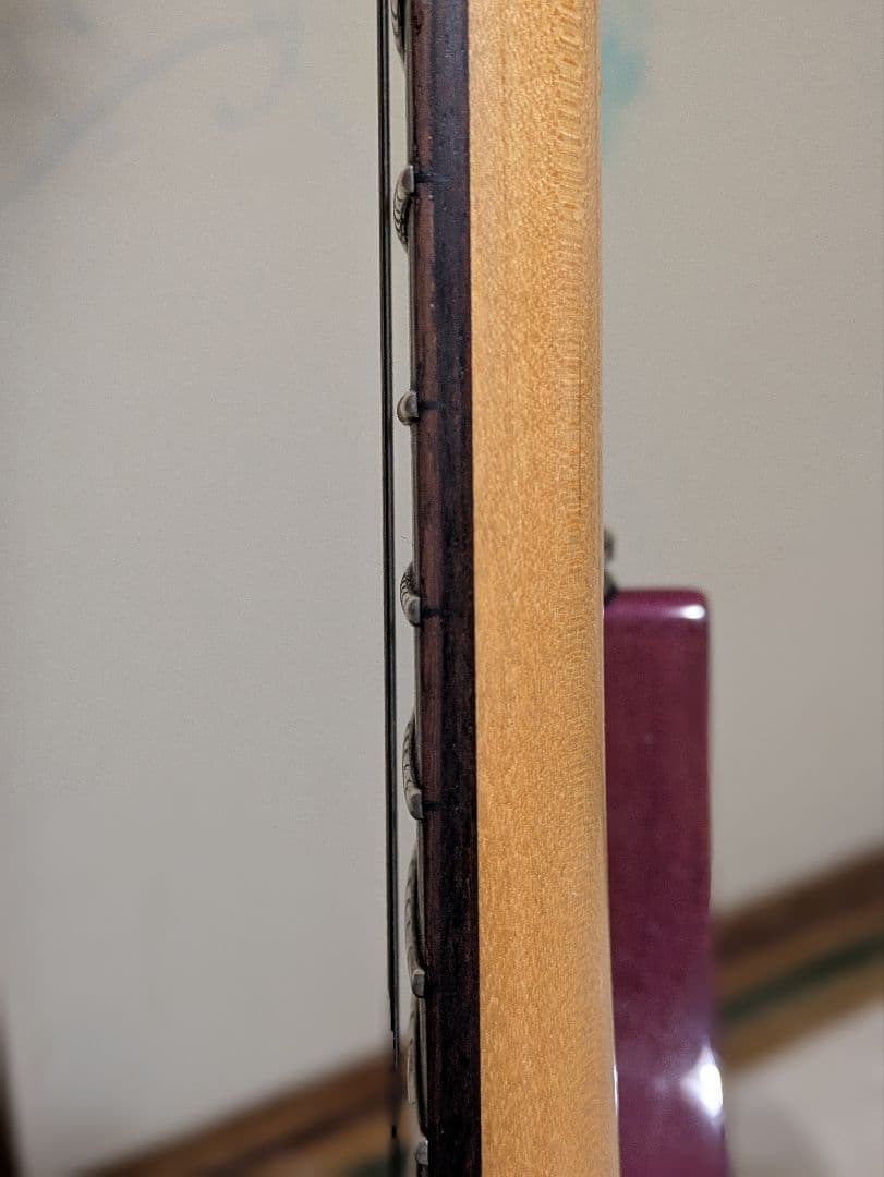 ギター Ibanez SRG420FMZ