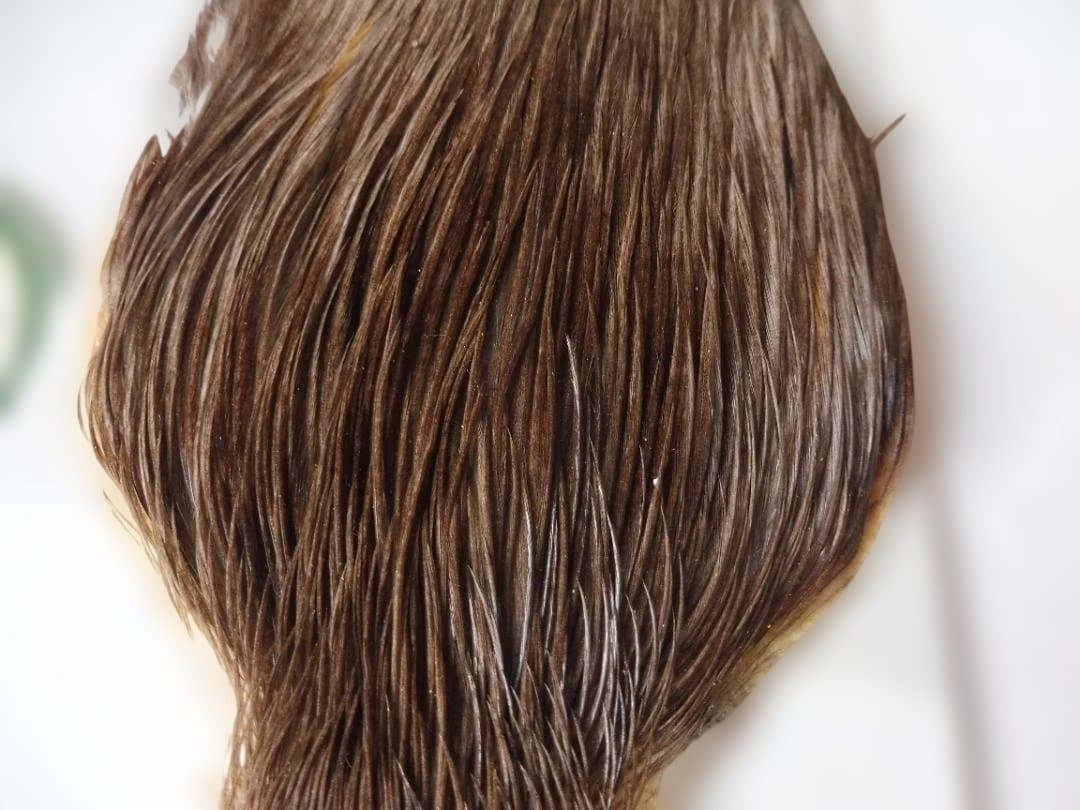 メッツ METZコックハックルケープ #2 DARK DUN