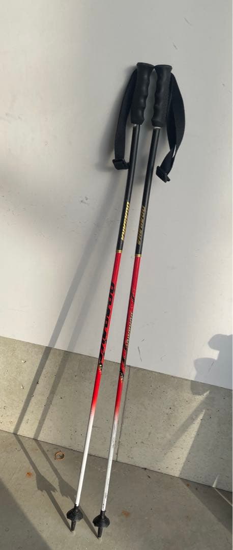 アルペンスキー　ストック　オガサカ