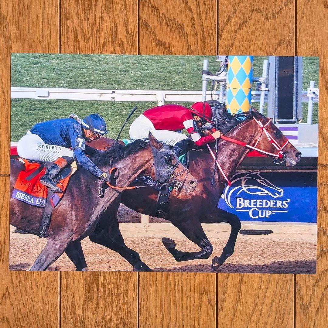 フォーエバーヤング BCクラシック 単勝馬券 パンフレット 写真セット